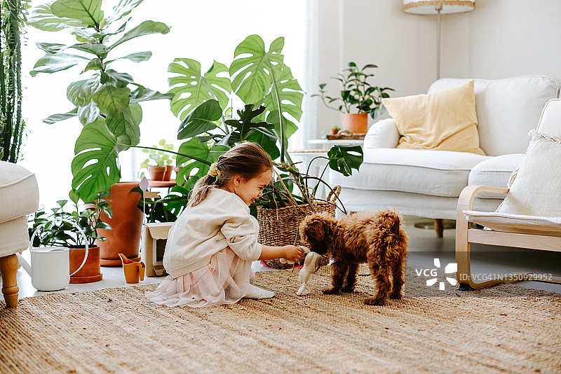 小女孩和小狗玩耍图片素材