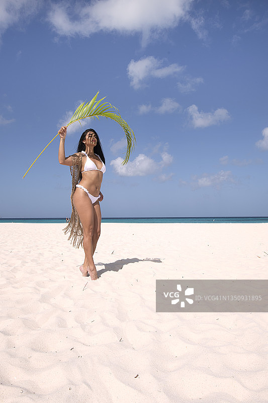 曼切博的芭芭拉图片素材