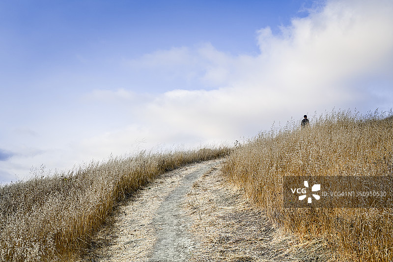 沿着田野中的小路行走的人图片素材
