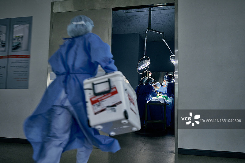 用于器官捐献的冰盒图片素材