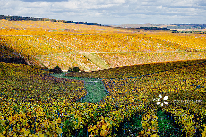 法国勃艮第-弗朗什-孔泰大区勃艮第夏布利风光图片素材