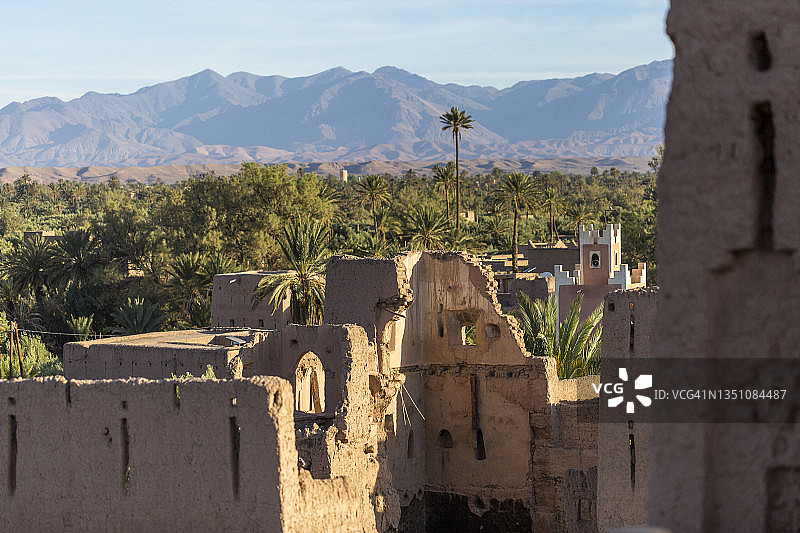 斯库拉绿洲棕榈树林，德拉-塔菲拉特，摩洛哥图片素材