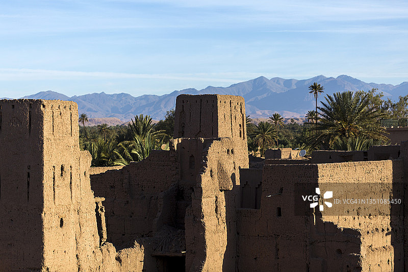 斯库拉绿洲棕榈树林，德拉-塔菲拉特，摩洛哥图片素材