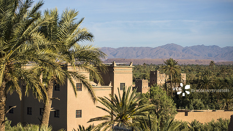 斯库拉绿洲棕榈树林，德拉-塔菲拉特，摩洛哥图片素材