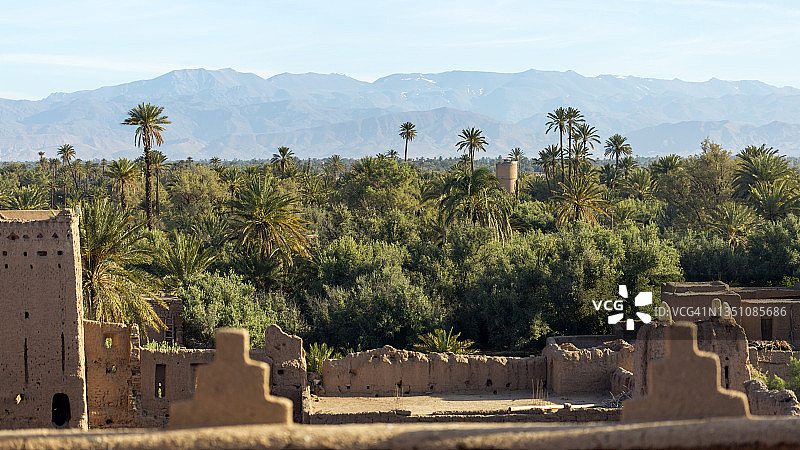 斯库拉绿洲棕榈树林，德拉-塔菲拉特，摩洛哥图片素材