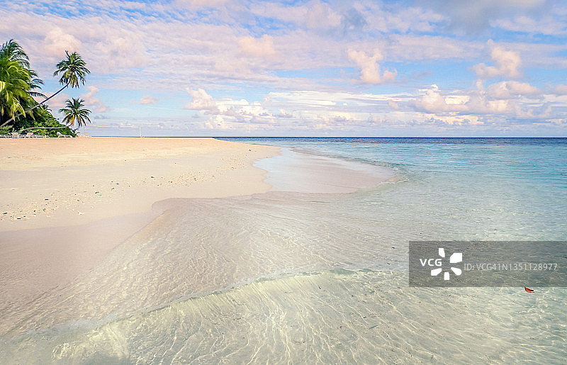 热带海滩棕榈树，菲哈后岛，马尔代夫图片素材