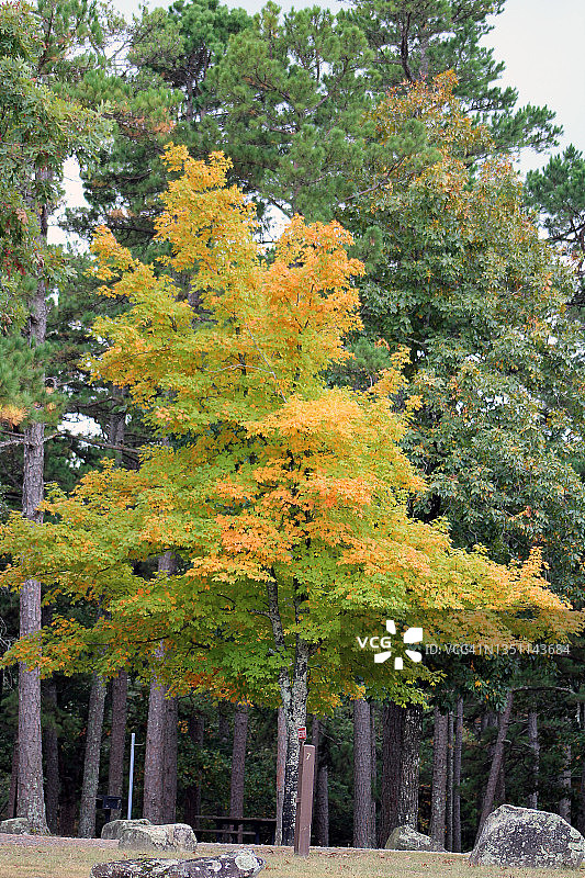尼波山图片素材
