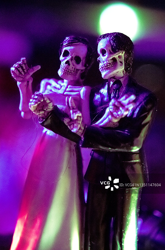 骨骼装饰图片素材