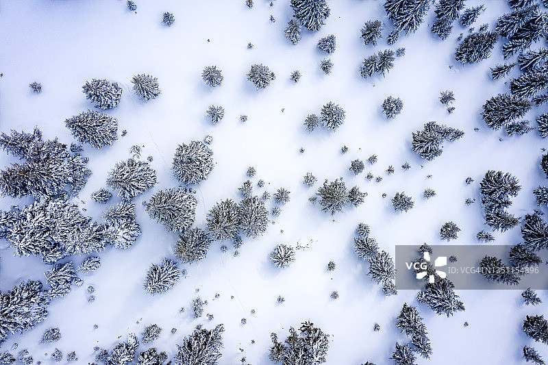 空中冬季山地景观与覆盖着雪的针叶林图片素材