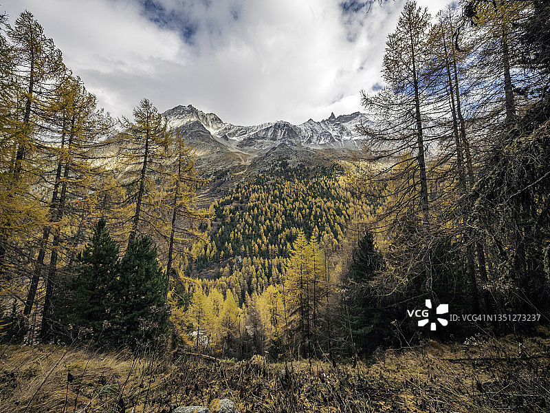 高山山谷和白雪皑皑山脉的壮丽景色图片素材