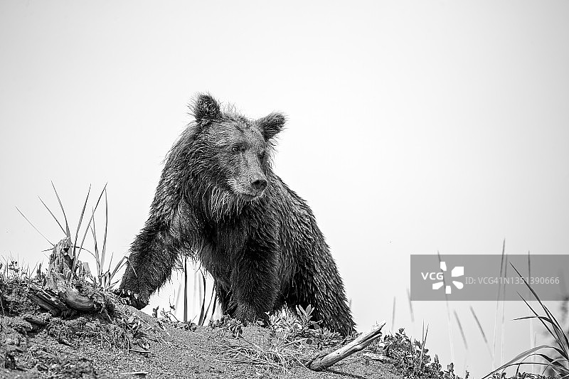 登上山顶图片素材