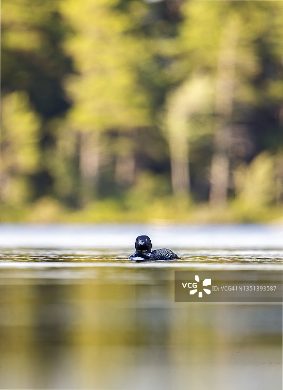 新的一天的倒影图片素材