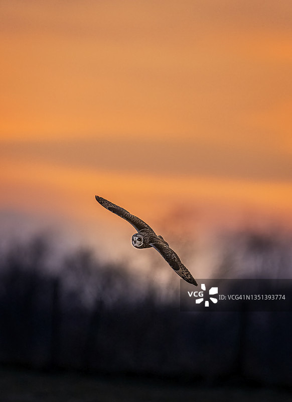 日落短片图片素材