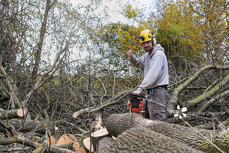专业伐木工在后院砍伐大树图片素材