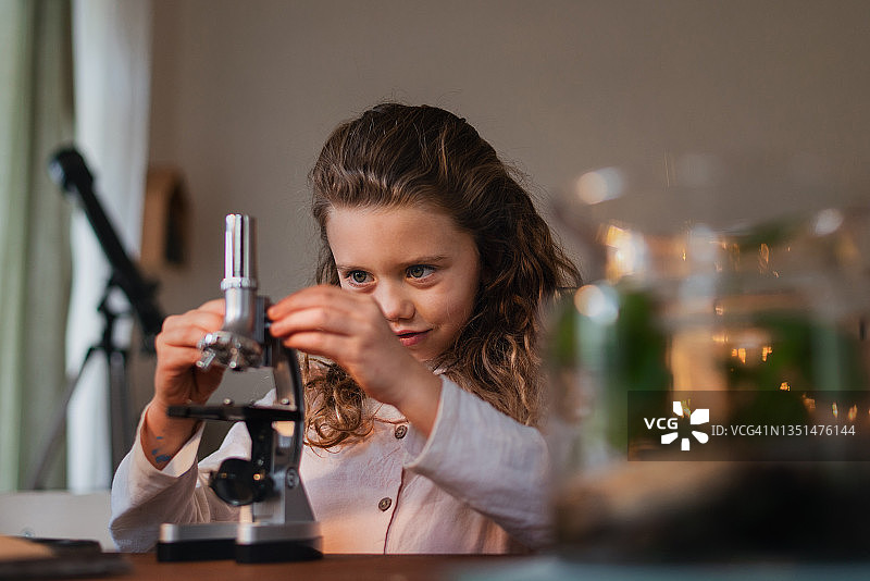 小女孩在家用显微镜做生物项目，在家上学图片素材