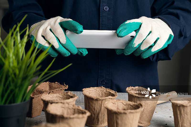 园艺博主拍摄家庭花园照片和视频，手持手机，在泥炭盆中播种花卉、植物或蔬菜图片素材