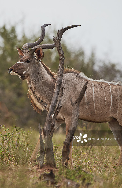 不管怎样,图片素材