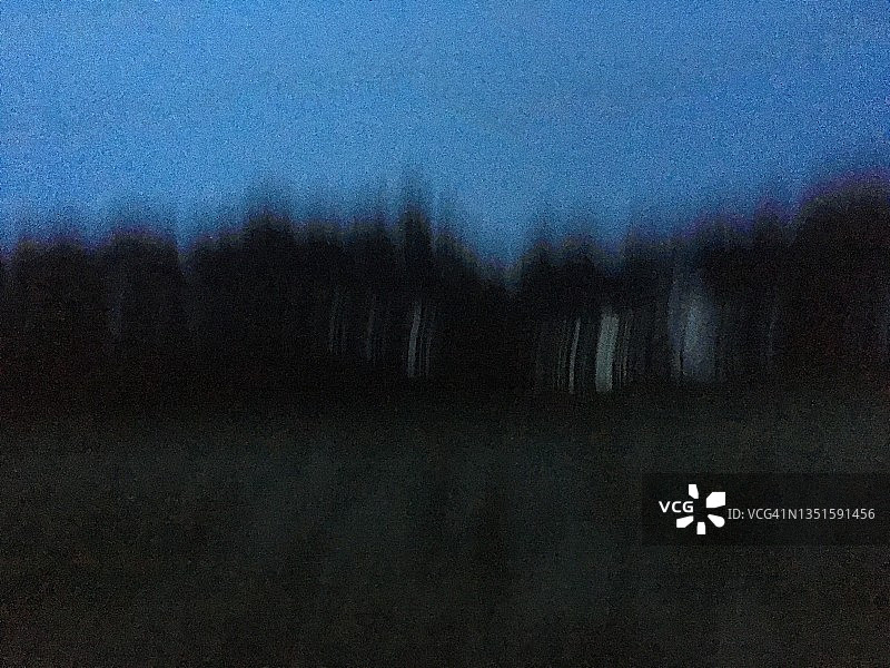 模糊森林图片素材