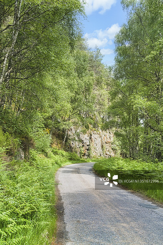 Glen Affric，靠近英国苏格兰高地因弗内斯Cannich图片素材