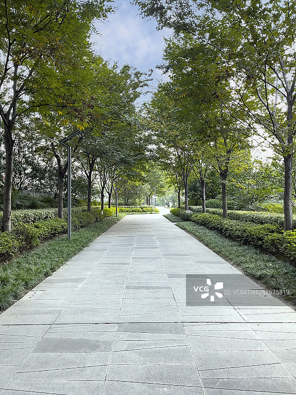 住宅区林荫大道图片素材