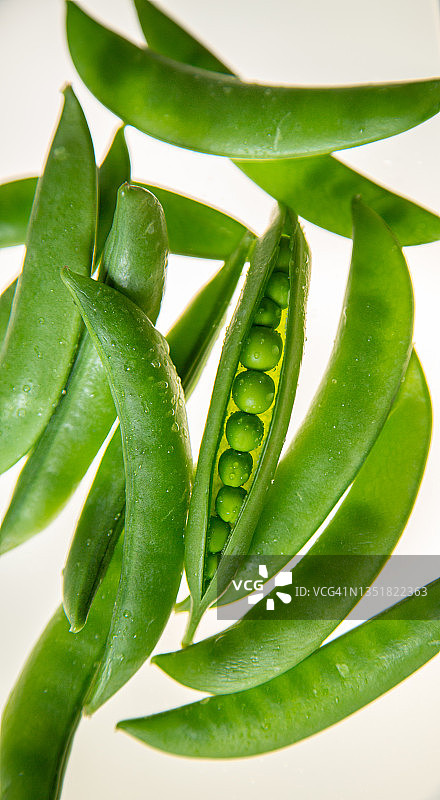 豆荚里的青豆图片素材