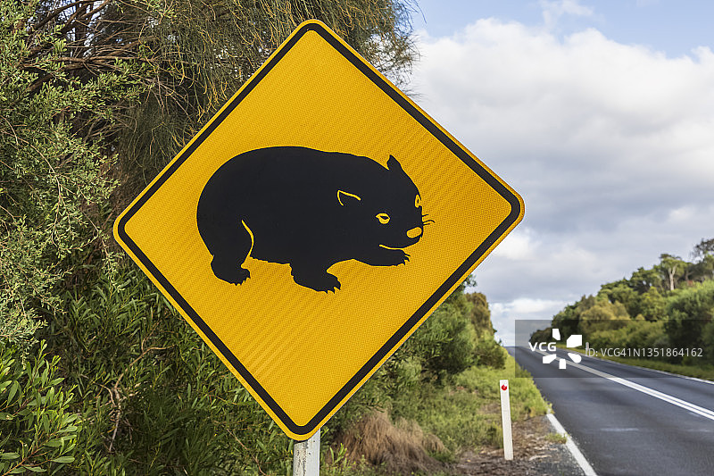 沥青路旁的袋熊横穿标志图片素材