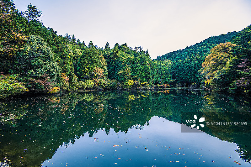 池塘水面映衬的树林与天空图片素材
