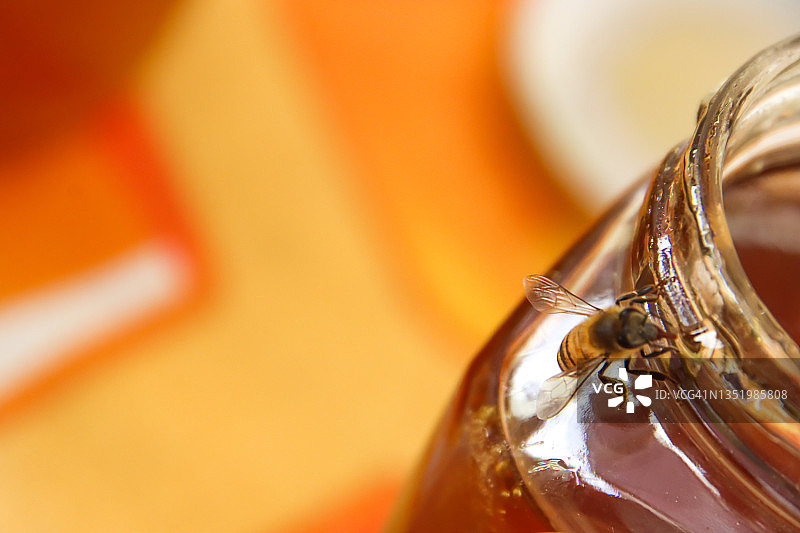 蜜蜂在蜂蜜罐旁图片素材