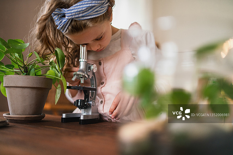 小女孩在家用显微镜做生物项目，在家上学图片素材