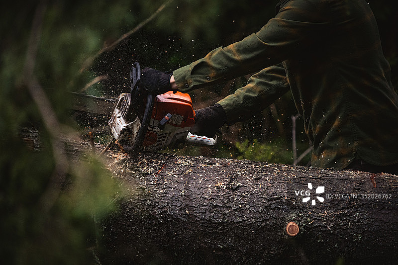 修剪树木图片素材