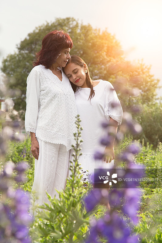 日落时分在花田中拥抱女儿的西班牙裔母亲图片素材