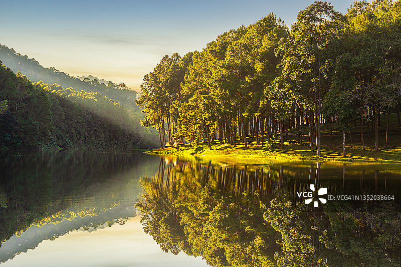 泰国夜丰颂府，邦翁湖的晨曦与倒影，松树林自然背景图片素材