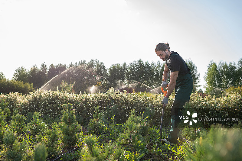 在花园里挖土的男农民图片素材