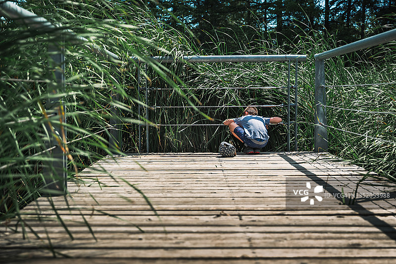 坐在码头上观看鸟类和鸭子的8岁男孩图片素材