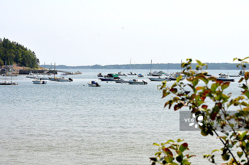 缅因湾图片素材