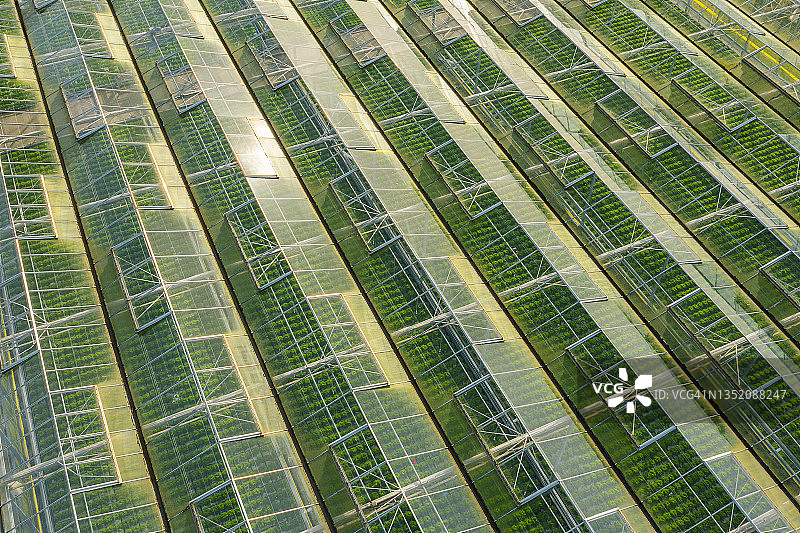 一排温室航拍视角图片素材