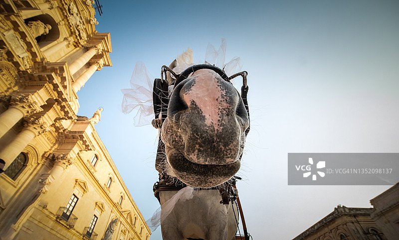 锡拉丘兹的婚礼图片素材