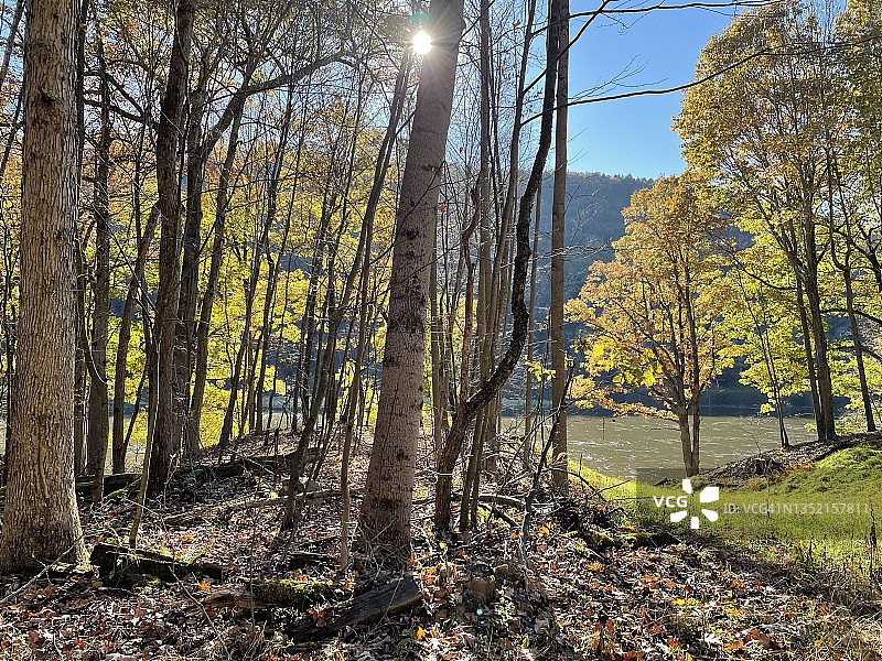 河边公园景色图片素材