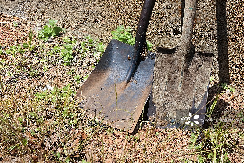 古董英式种植铲图片素材