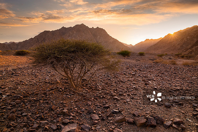 日落时分阿拉伯联合酋长国富查伊拉山区岩石荒漠图片素材