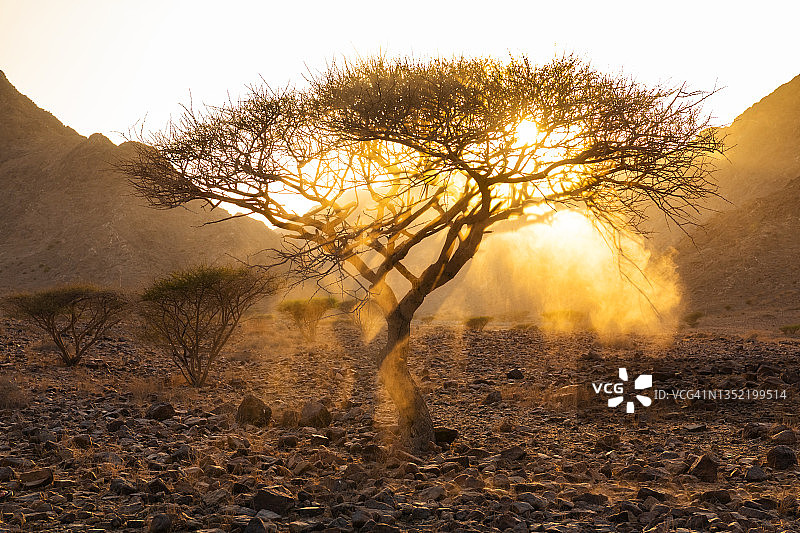 日落时分阿拉伯联合酋长国富查伊拉山区岩石荒漠图片素材