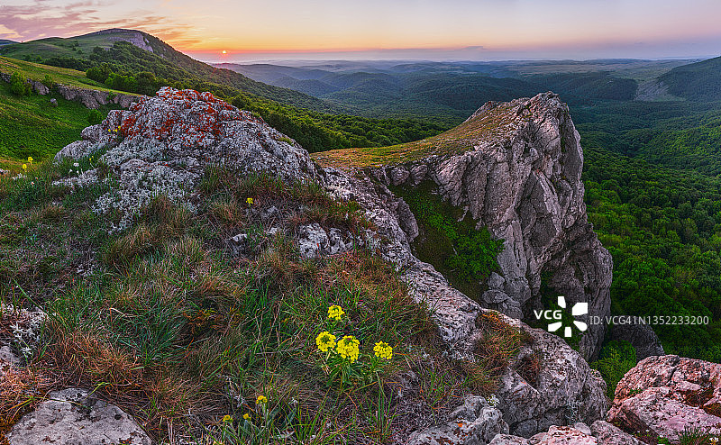 旭日背景下的黄色花朵，山景图片素材