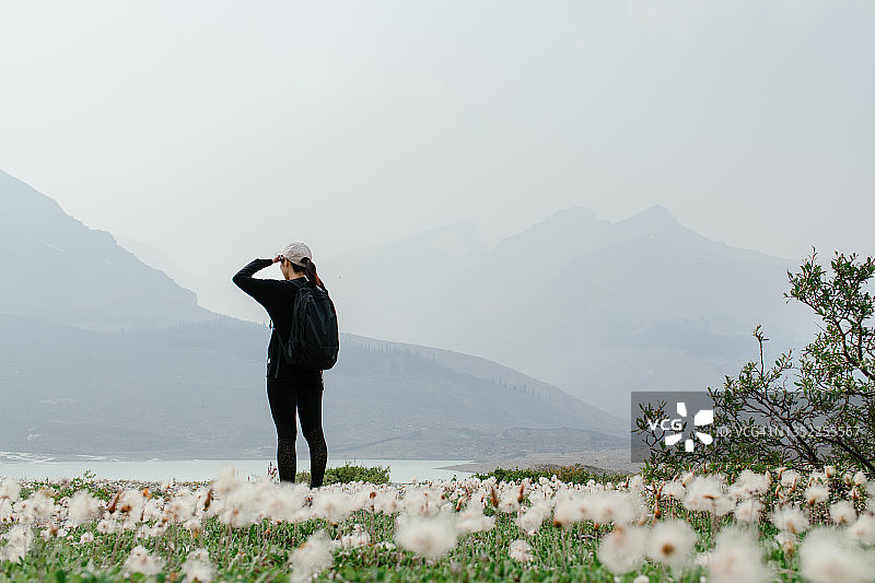 加拿大落基山脉—阿萨巴斯卡冰川景观图片素材
