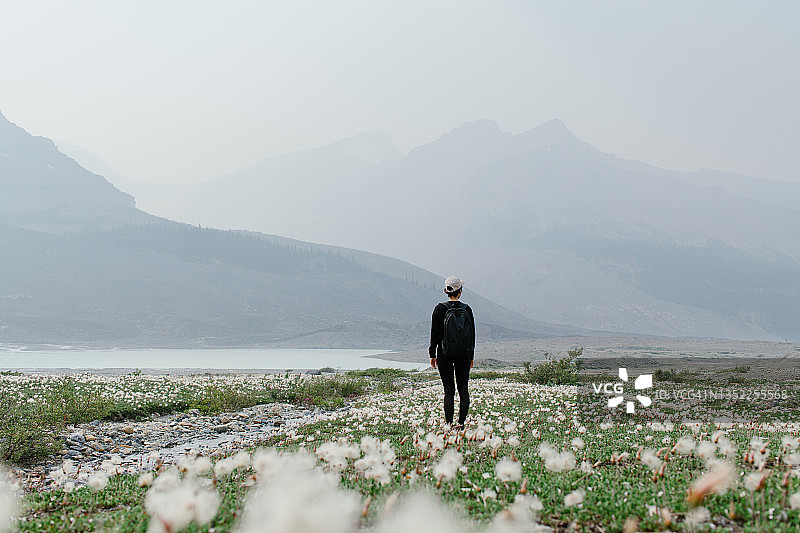 加拿大落基山脉—阿萨巴斯卡冰川景观图片素材