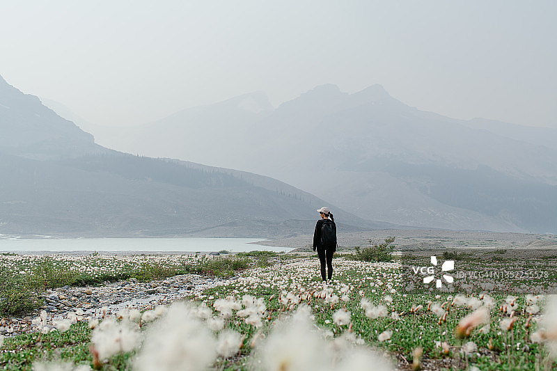 加拿大落基山脉—阿萨巴斯卡冰川景观图片素材