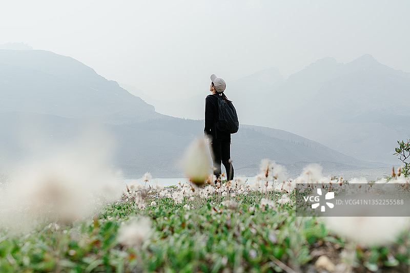 加拿大落基山脉—阿萨巴斯卡冰川景观图片素材