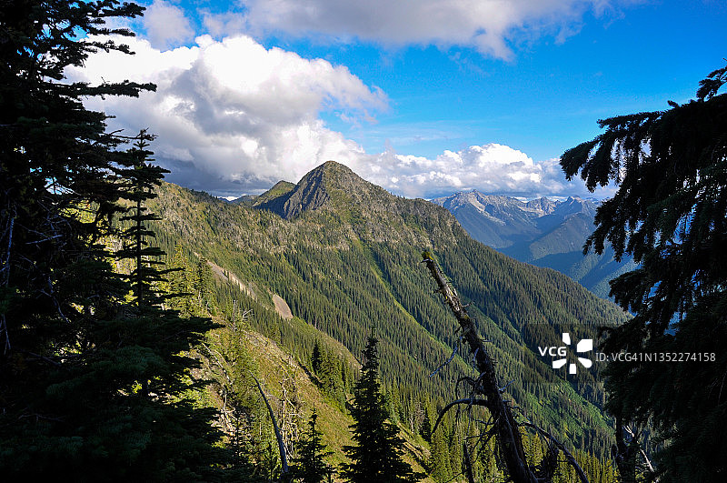 加拿大不列颠哥伦比亚省珀塞尔山脉的树木覆盖山脉图片素材
