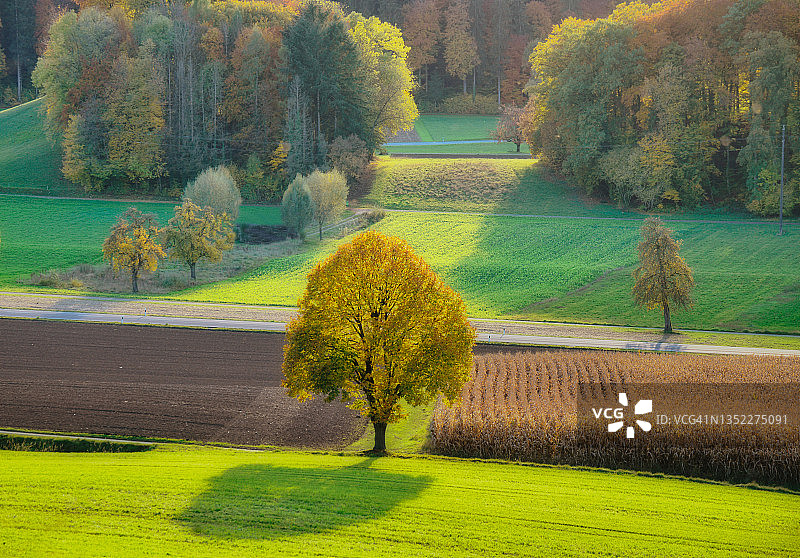 瑞士阿尔高秋季农田景观公路航拍图片素材