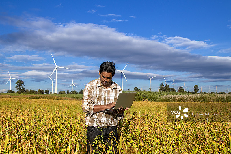 农民使用现代技术检查田地里水稻的质量图片素材