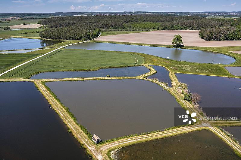 德国埃尔费尔德鲤鱼养殖鱼塘图片素材